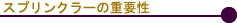 XvN[̏dv